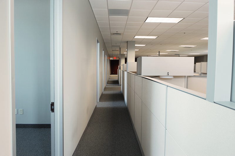Carpet-Cleaning-Services-Bellevue-WA